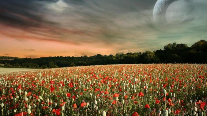 字节跳动技术副总裁开源了自己与Trae合作的首个项目，如何评价目前AI开发的水平？